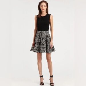 🎀DIANE VON FURSTENBERG JEANNIE fit to flare print dress like new 4